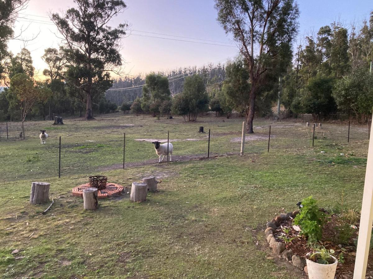 Winganah Cottage Murdunna Exterior foto